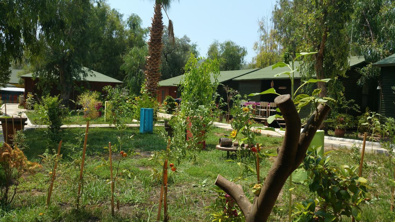 Oba Beach Hotel Ölüdeniz Exterior foto