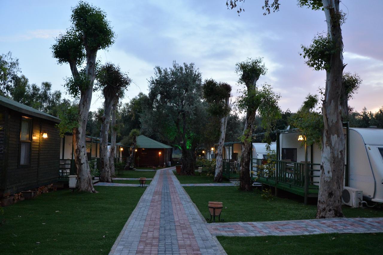 Oba Beach Hotel Ölüdeniz Exterior foto